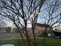 Réalisation d' un éclairage de jardin_02