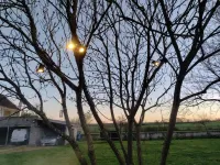 Réalisation d' un éclairage de jardin_04