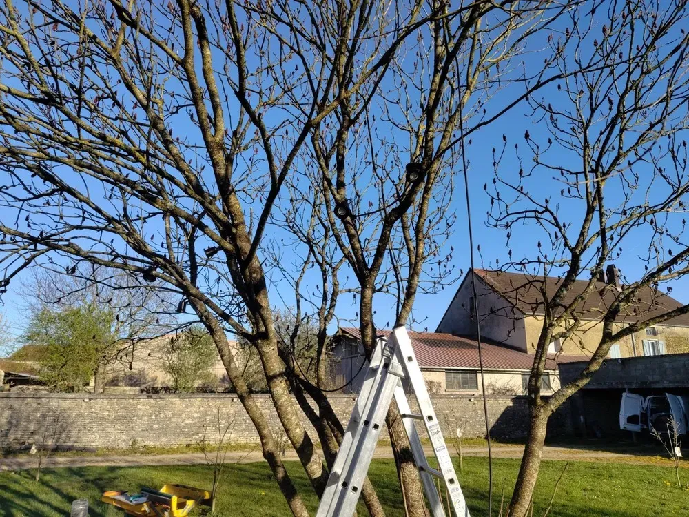 Réalisation d' un éclairage de jardin_06